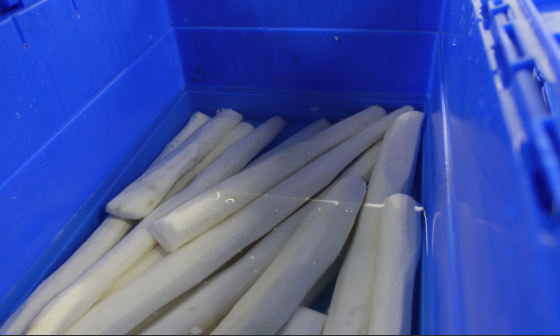 合序蔬菜配送：重庆生鲜食材供应商优选，新鲜直达更安心