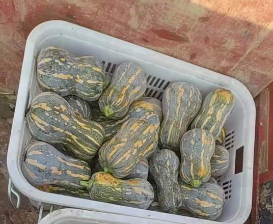 重庆净菜配送认准合序农业|净菜加工 + 食堂生鲜一站式供应